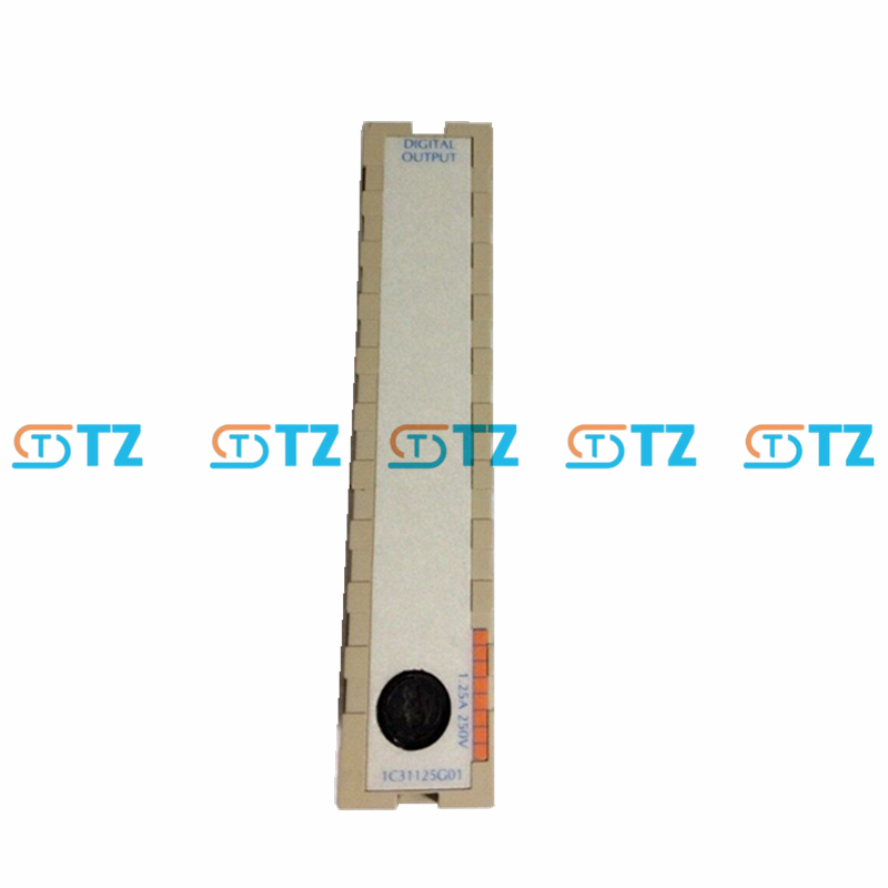 1C31125G01 PLC